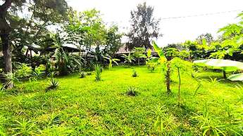 zanzllywood hotel and apartments