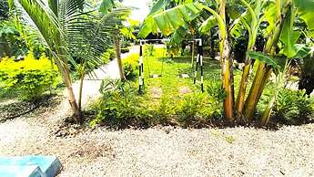 zanzllywood hotel and apartments