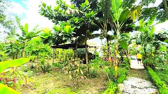 zanzllywood hotel and apartments