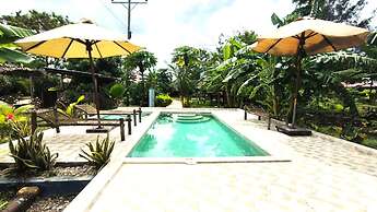 zanzllywood hotel and apartments