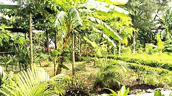 zanzllywood hotel and apartments