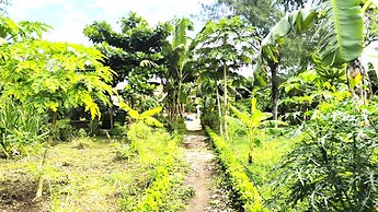 zanzllywood hotel and apartments