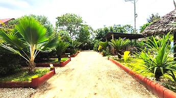 zanzllywood hotel and apartments