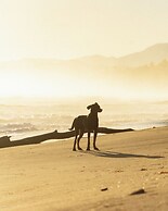 Room in Guest Room - Oceanfront Suite With Kitchenette Stunning Views 