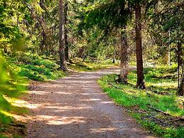 4 Person Holiday Home in Ljusdal