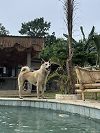 Palmhouse Boutique Hotel