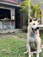 Palmhouse Boutique Hotel