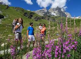 Chalet-village Situated in a Quiet Area