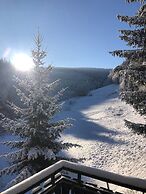 Exclusive Group House in Winterberg in the Forest