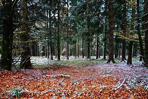 Exclusive Group House in Winterberg in the Forest