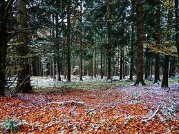 Exclusive Group House in Winterberg in the Forest