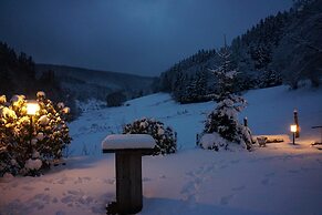Exclusive Group House in Winterberg in the Forest