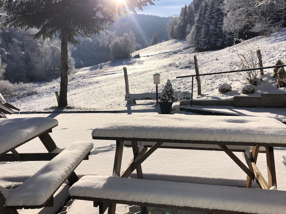 Exclusive Group House in Winterberg in the Forest