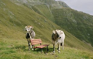 Modern Apartment in Fieberbrunn With Terrace