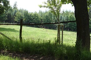 Cosy Apartment in Hallenberg Near Centre