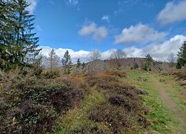 Modern Apartment in Eslarn With Lake Near