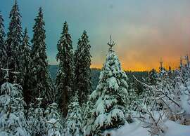 Modern Apartment in Eslarn With Lake Near