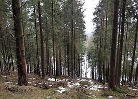 Welcoming Apartment in Winterberg With Balcony