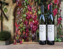 Farmhouse in Marsciano With Vineyards Olive Groves