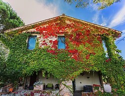 Farmhouse in Marsciano With Vineyards Olive Groves