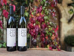 Farmhouse in Marsciano With Vineyards Olive Groves