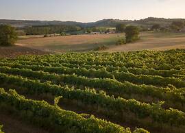 Farmhouse in Marsciano With Vineyards Olive Groves