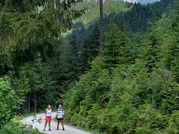 Quaint Mansion Near ski bus in Goldegg