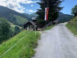 Quaint Mansion Near ski bus in Goldegg