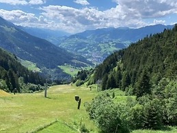 Quaint Mansion Near ski bus in Goldegg