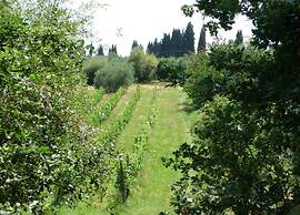 Beautiful Villa in Peccioli With Private Swimming Pool