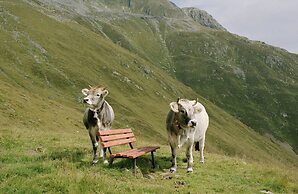 Modern Apartment in Kirchdorf With Garden