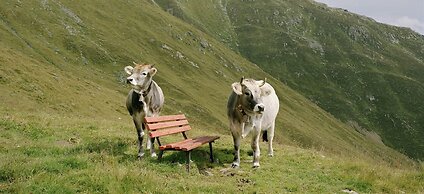Modern Apartment in Kirchdorf With Garden