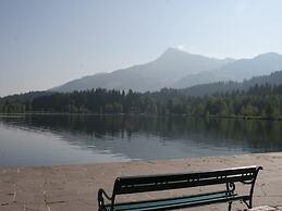 Modern Apartment in Kirchdorf With Garden