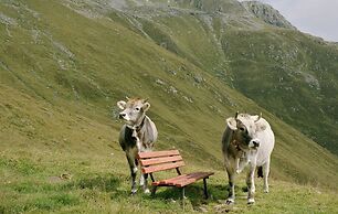 Modern Apartment in Kirchdorf With Garden