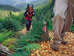 Deluxe Holiday Home in Brilon-wald Near Ski Area