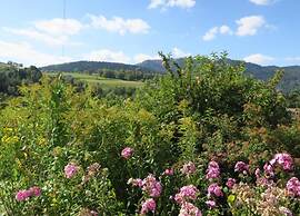 Nice Chalet With Sauna in Vosges