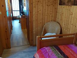 Nice Chalet With Sauna in Vosges