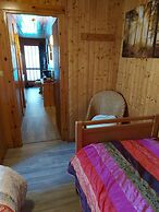 Nice Chalet With Sauna in Vosges