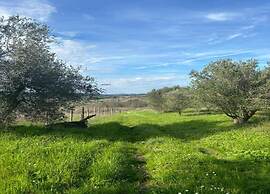 Pleasant Villa in Peccioli With Private Swimming Pool