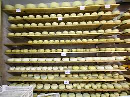 Attractive Farmhouse in Montalcino With Terrace