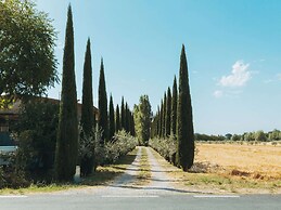 Rustic Farmhouse in Cortona With Swimming Pool