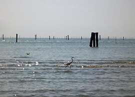 Characteristic Apartment in Codigoro With Pool