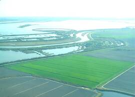 Characteristic Apartment in Codigoro With Pool