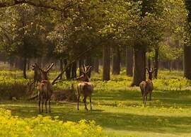 Characteristic Apartment in Codigoro With Pool