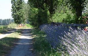 Characteristic Apartment in Codigoro With Pool