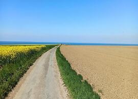 Lovely Holiday Home in Osmanville With Terrace