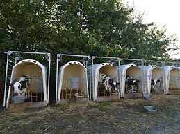 Lovely Holiday Home in Osmanville With Terrace