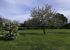 Lovely Holiday Home in Osmanville With Terrace