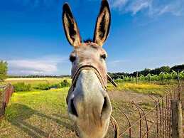 Comfortable Cottages in Loro Ciuffenna