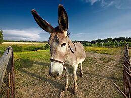 Comfortable Cottages in Loro Ciuffenna